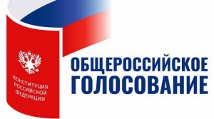 popravki-v-konstituciyu-kak-i-gde-budem-golosovat-s-25-iyunya-po-1-iyulya
